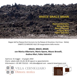BRACE BRACE BRAIN_BI-box
